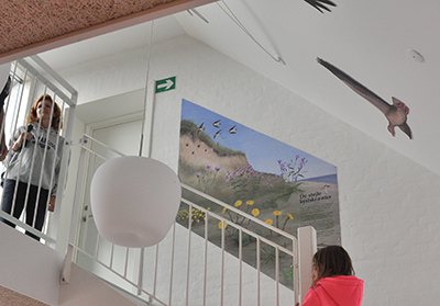 Foto fra udstillinge i Bågø Naturcenter. Udført af Naturplan for Assens Kommune 2016.