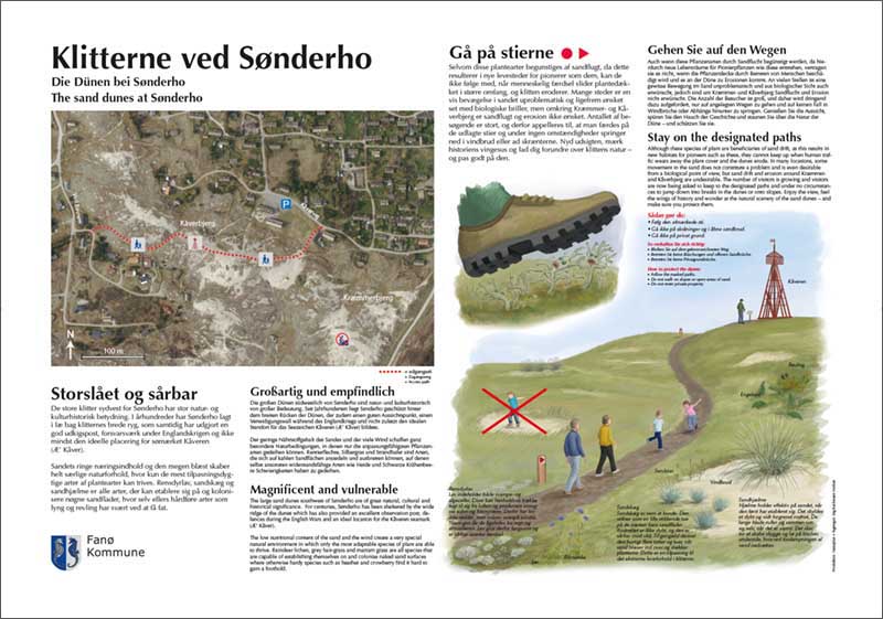 Informationstavle om klitterne ved Sønderho. Tavlen er udført for Fanø Kommune 2018. Tegninger: Stig Bachmann Nielsen