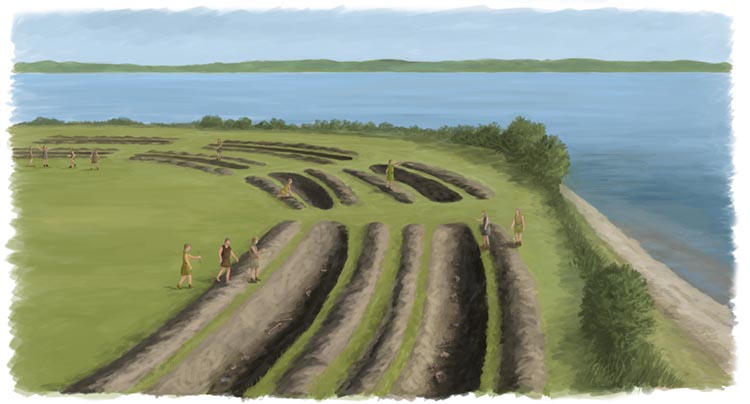 Visualisering af kultplads fra stenalderen, Blakbjerg ved Ryomgaard.. Tegninger: Stig Bachmann Nielsen