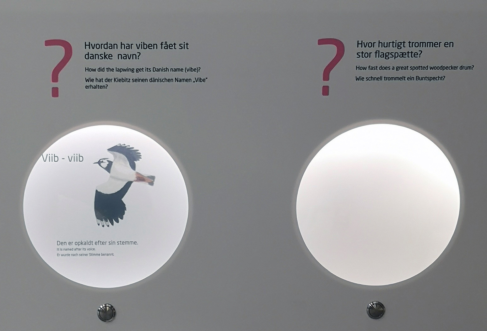 Smartglasset i Naturrummet ved Gyldensteen Strand virker som spørgeklapper. Glasset skjuler svaret på spørgsmål indtil publikum trykker på knappen og smartglasset bliver transparent. Bygget for Aage V. Jensen Naturfond 2020.